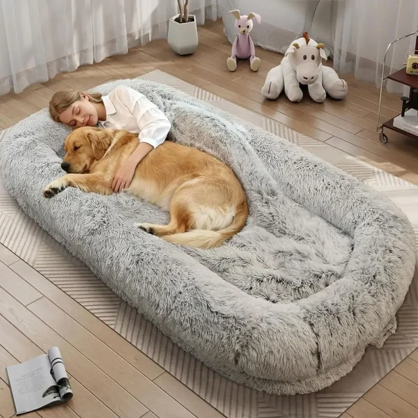 Orthopedic Human-Sized Dog Bed