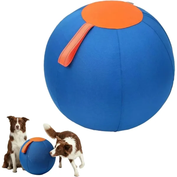 Ruckus Herding Ball